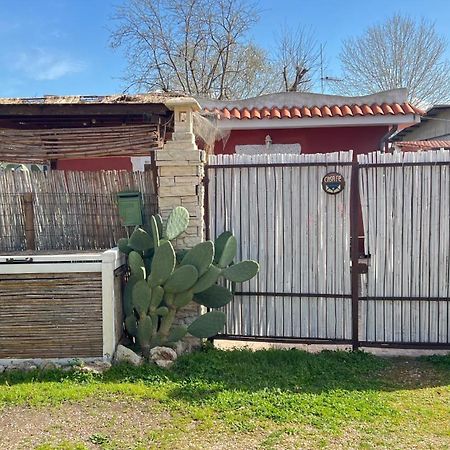Casa Fe Lägenhet Fregenae Exteriör bild