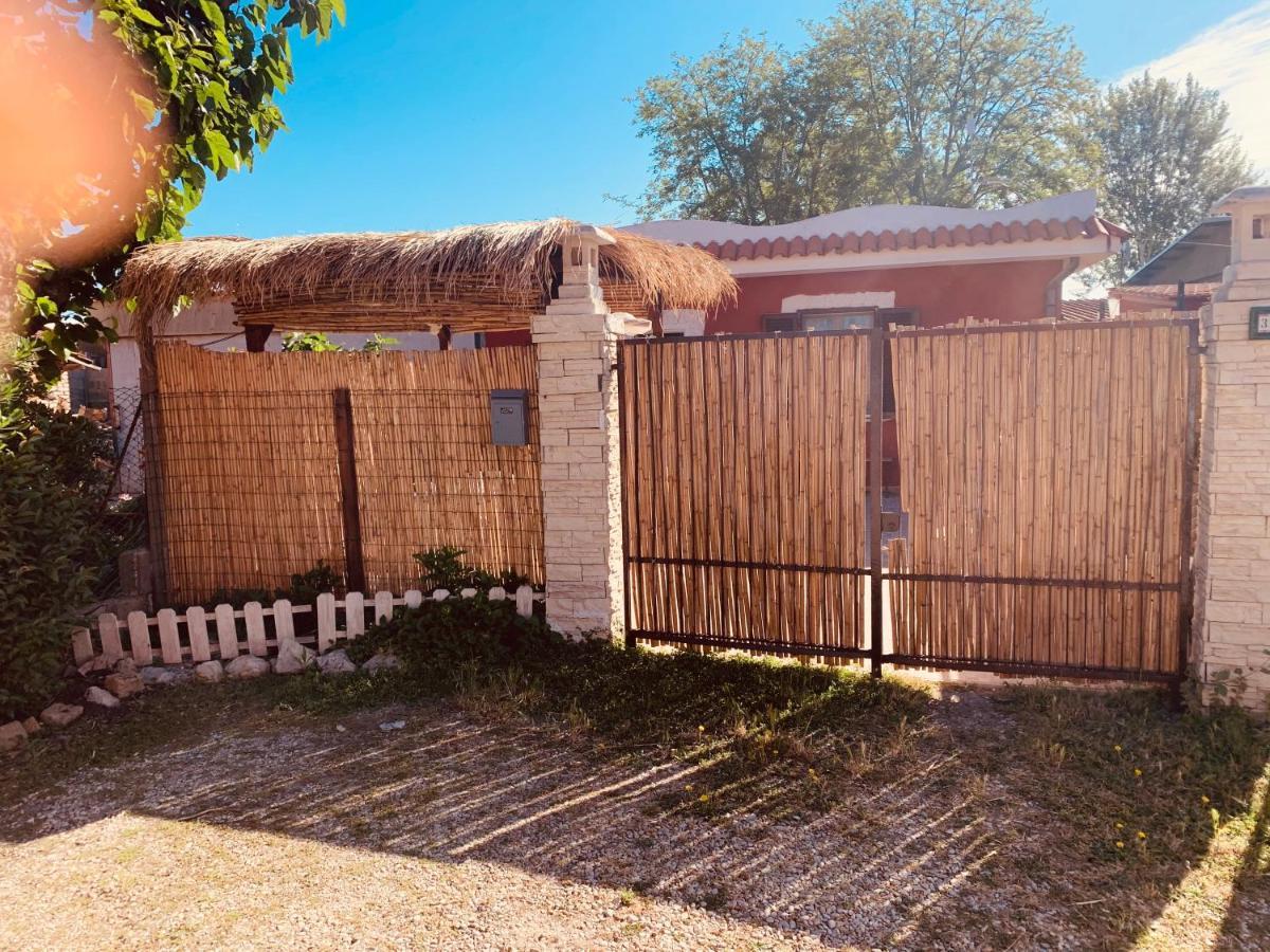 Casa Fe Lägenhet Fregenae Exteriör bild